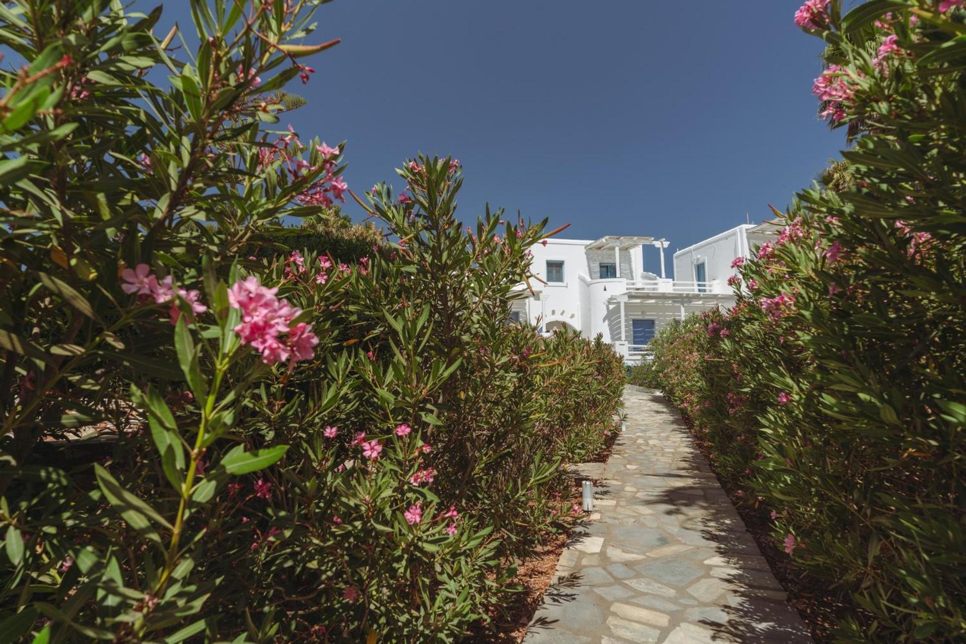 Palm Heaven Boutique Apartments Antiparos ciudad Exterior foto
